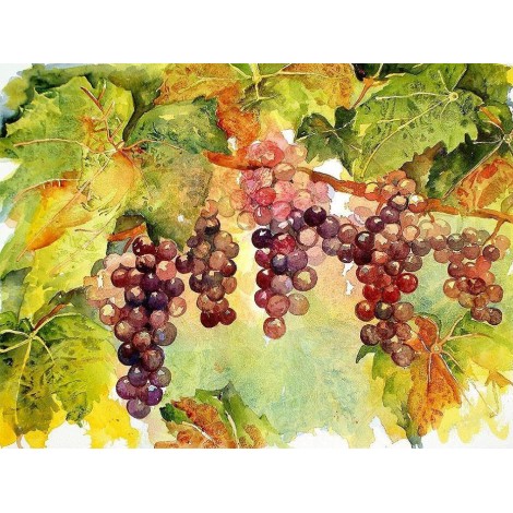 Grapes Bunch on Branches Painting kit