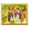 Grapes Bunch on Branches Painting kit