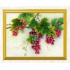 Red Grape Bunchs - DIY Diamond Painting