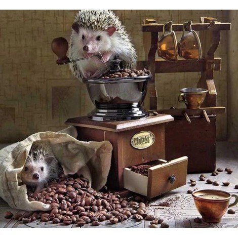 Two Hedgehogs & Coffe Beans
