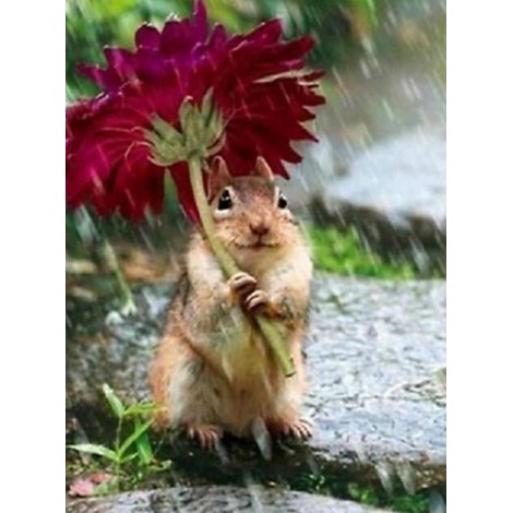 Cute Hamster Diamond Painting Kit