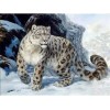 Leopards Diamond Art Kits