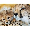 Leopards Diamond Art Kits