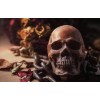Creepy Skull Diamond Art Kit