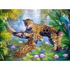 Leopards Diamond Art Kits