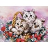 Lovely Kittens in Basket - Diamond Art