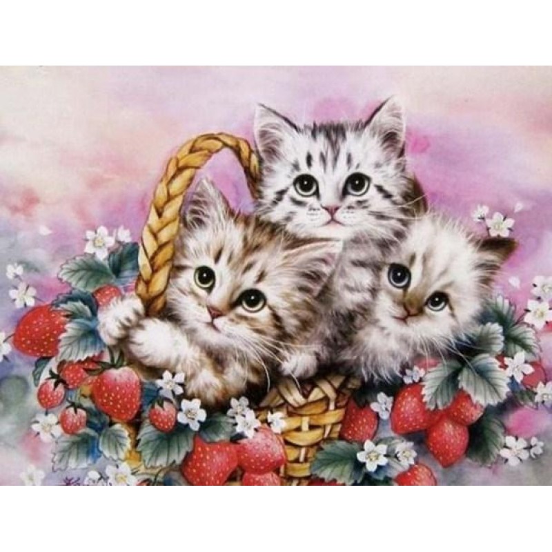 Lovely Kittens in Ba...