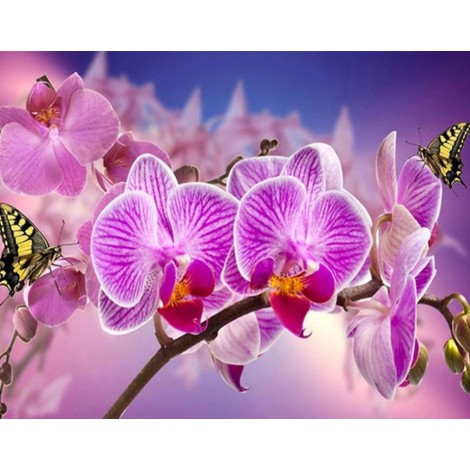 Gorgeous Pink Orchids