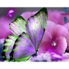 Butterfly & Flowers  Diamond Art Kit