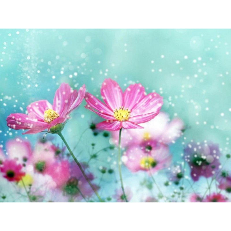 Lavish Pink Flowers