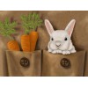 White Rabbit & Carrots in Pockets