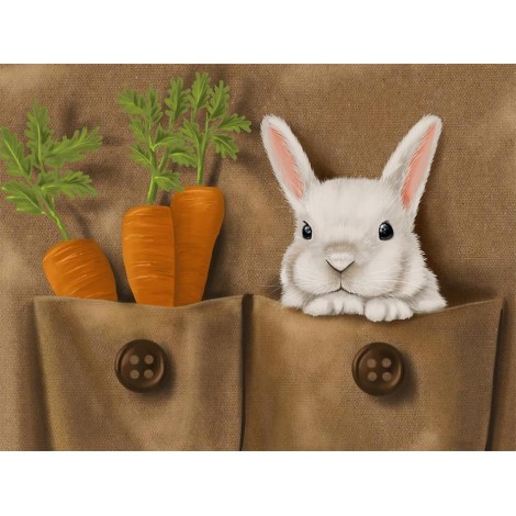 White Rabbit & Carrots in Pockets