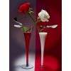 Stunning Red & White Roses Painting Kit