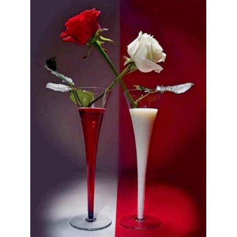 Stunning Red & White Roses Painting Kit