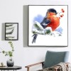 Sweet Bird in Snow Diamond Art Kit