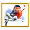 Sweet Bird in Snow Diamond Art Kit