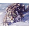 Leopard in Snow - Winter Painting