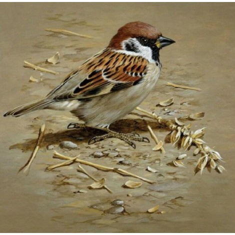 Incredibly Beautiful Sparrow Painting