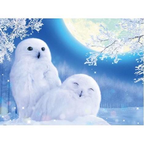 White Owls Pair Painting Kit