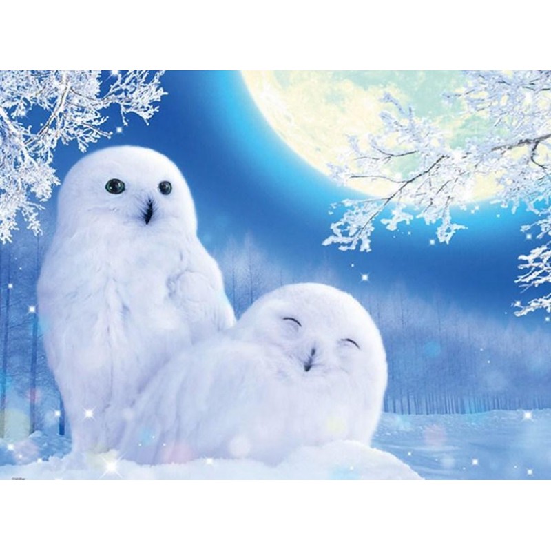 White Owls Pair Pain...
