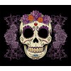Flowers & Sugar Skulls Painting Kit