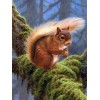 Forest Squirrel Diamond Painting Kit