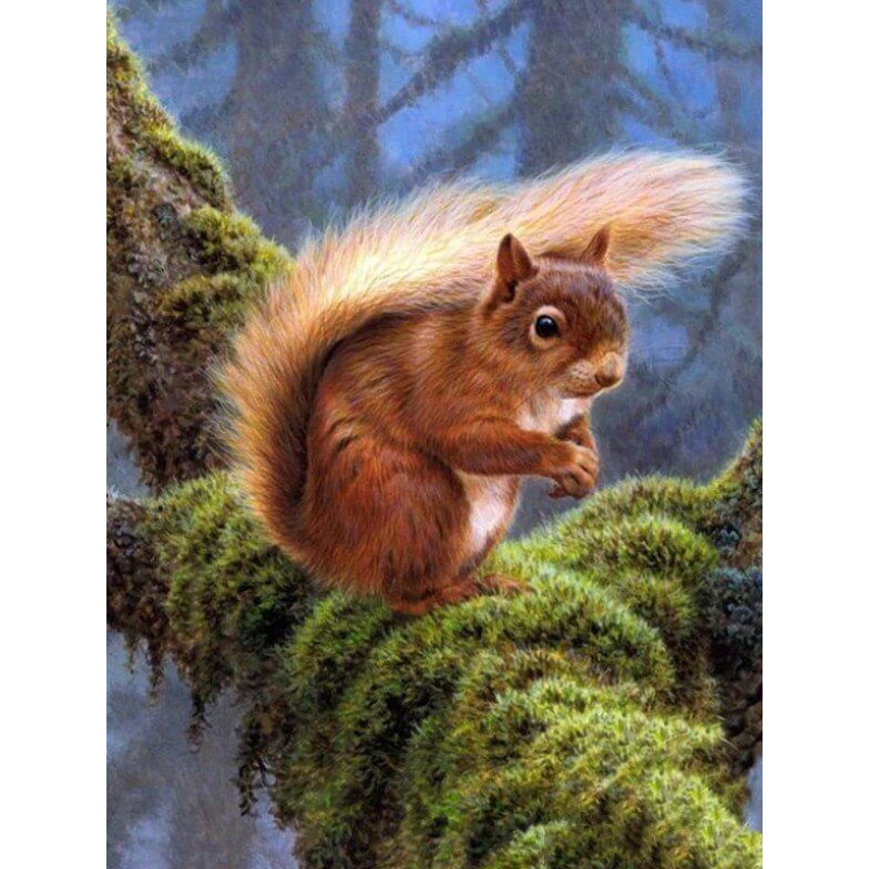 Forest Squirrel Diam...