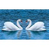 Swans in Heart Shape - DIY Painting