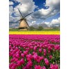 Windmill & Tulips Diamond Art Kit
