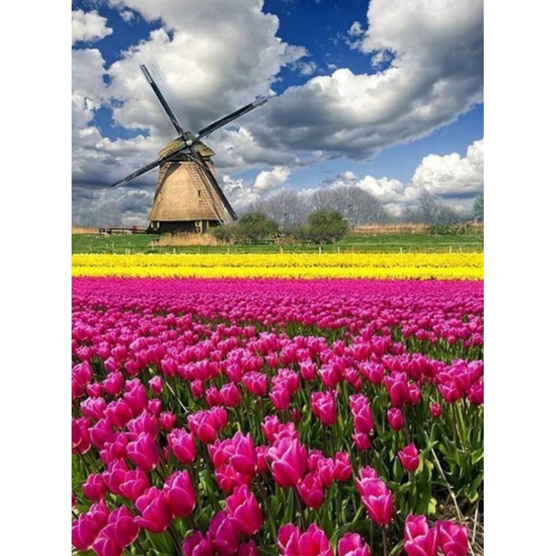 Windmill & Tulips Di...