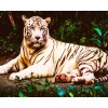 Stunning White Tiger Laying by the Forest