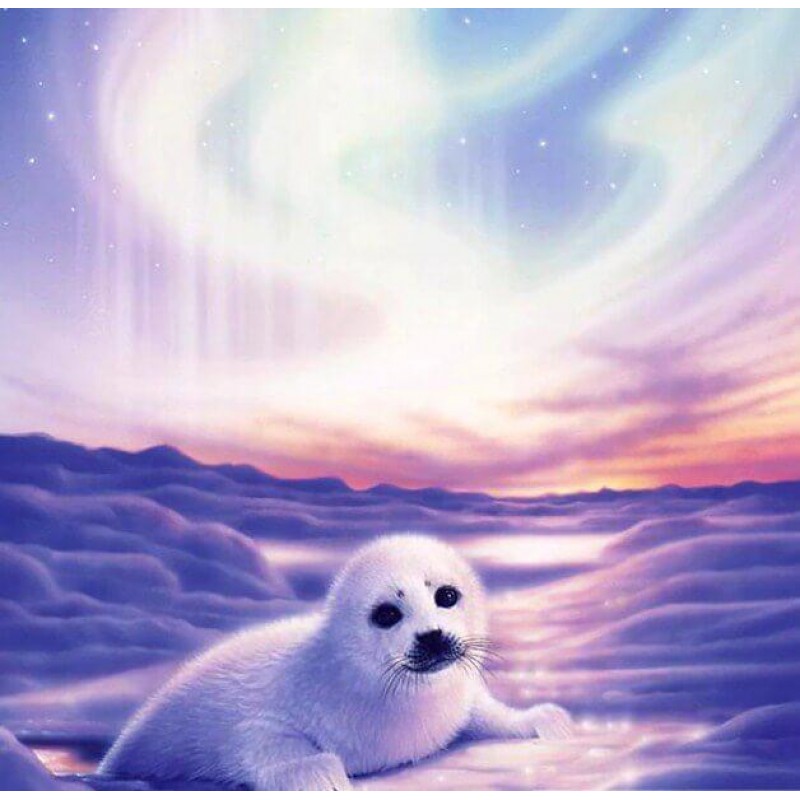 Cute  Seal Fish - Di...