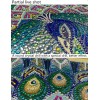 Peacock & Butterfly - Special Diamond Painting