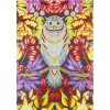Flower Owl -s Special Diamond Painting