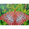 Red Butterfly - Special Diamond Painting