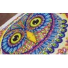 Owl's Face - Special Diamond Painting
