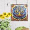 Owl's Face - Special Diamond Painting