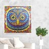 Owl's Face - Special Diamond Painting