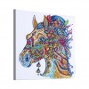 Beautiful Horse Head - Special Diamond Painting