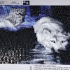 White Wolf - Special Diamond Painting