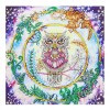 Wise Owl - Special Diamond Painting