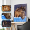 Cat Friend with Horse - Special Diamond Painting