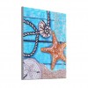 Starfish Sea Shell - Special Diamond Painting