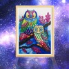 Colorful Owls - Special Diamond Painting