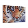 Siberian Tiger - Special Diamond Painting