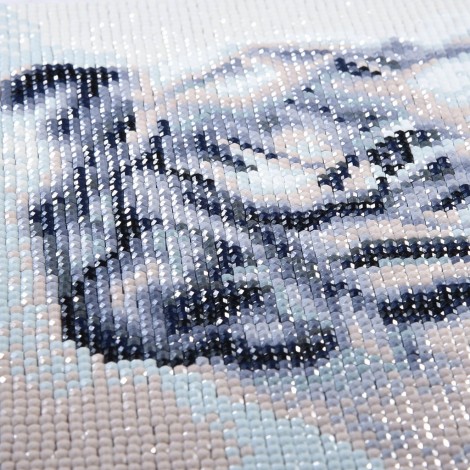 Halloween Cat - Special Diamond Painting