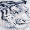 White Tiger - Special Diamond Painting