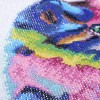 Lovely Cat - SPecial Diamond Painting