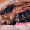 Lazy Dog - Special Diamond Painting