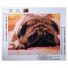 Lazy Dog - Special Diamond Painting